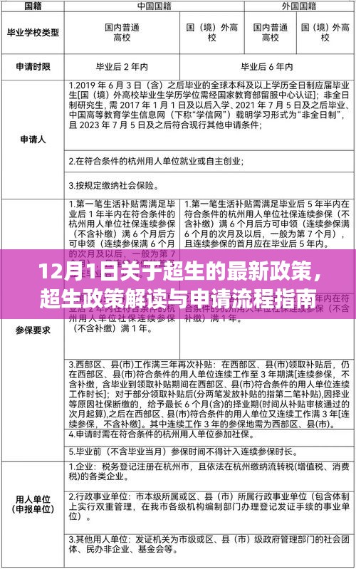 超生政策解讀與申請(qǐng)流程指南，最新政策解讀適用于初學(xué)者與進(jìn)階用戶