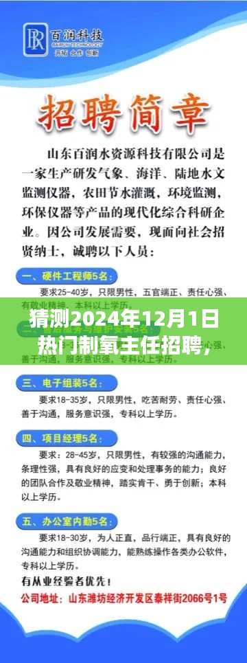 把握未來，挑戰(zhàn)熱門制氧主任崗位，2024年招聘展望與自我超越之路