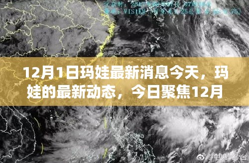 聚焦今日，瑪娃最新動態(tài) 12月1日消息