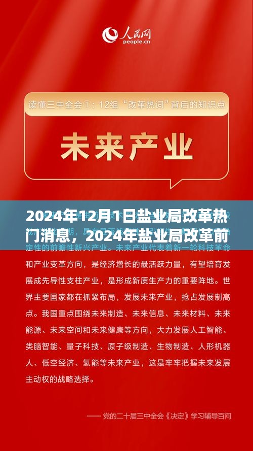鹽業(yè)局改革前沿動態(tài)，創(chuàng)新策略與未來展望（2024年鹽業(yè)局改革熱門消息）