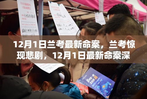 蘭考悲劇揭秘，深度解析最新命案內(nèi)幕