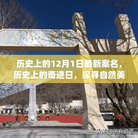 探尋奇跡日，歷史上的自然美景之旅與寧?kù)o革命之路的探尋