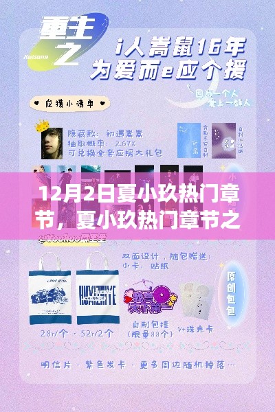 夏小玖熱門章節(jié)探析與個人立場闡述，12月2日之我見