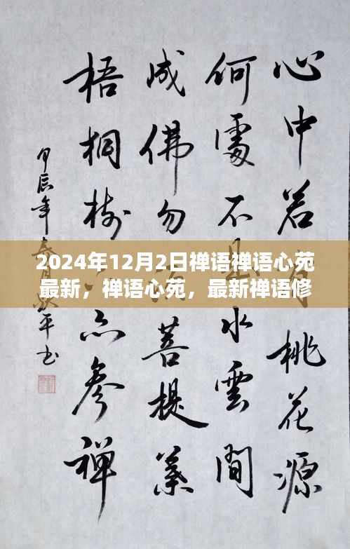 禪語心苑，最新禪語修行指南（初學(xué)者與進階用戶適用）——每日禪悟，開啟心靈之旅