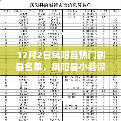 鳳陽縣副縣名單揭秘，小巷深處的特色小店與熱門人物盤點