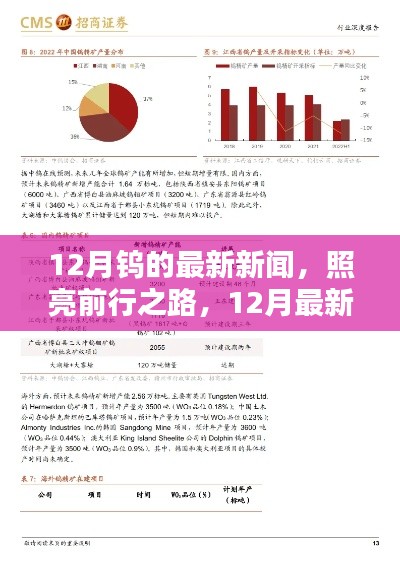 12月鎢的最新動態(tài)，照亮前行之路的深度測評與產(chǎn)品介紹