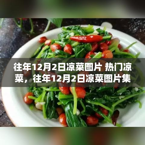 往年12月2日熱門涼菜集錦，揭秘涼菜魅力與圖片解密