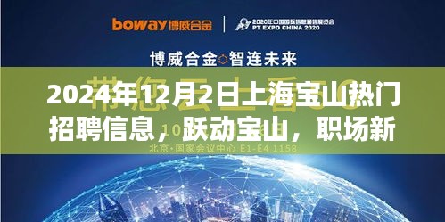 躍動寶山，職場新星，上海寶山熱門招聘信息全解析（2024年）