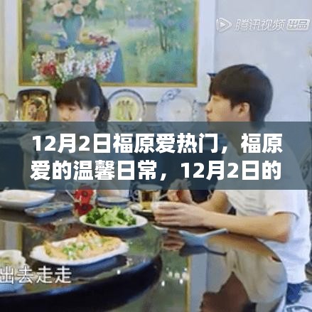 福原愛，溫馨日常中的意外驚喜與友情力量，12月2日的聚焦時刻