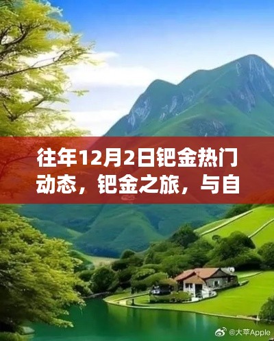 鈀金之旅，與自然美景相遇，探尋內(nèi)心寧靜的熱門動態(tài)回顧