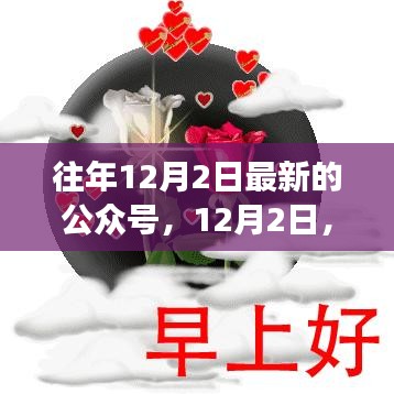 公眾號(hào)里的溫馨日常故事，友情、家庭與愛的紐帶紐帶（12月2日更新）