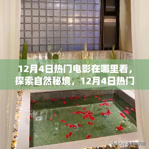 12月4日熱門電影，探索自然秘境，心靈寧靜之旅