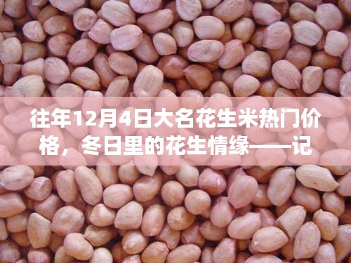 冬日花生情緣，探尋大名花生米熱門價格與奇妙之旅