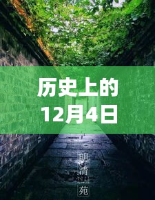 歷史上的12月4日潁上易景售樓盛況揭秘，巷陌間的夢幻售樓空間獨(dú)特記憶