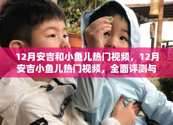 全面評(píng)測與深度介紹，12月安吉小魚兒熱門視頻匯總