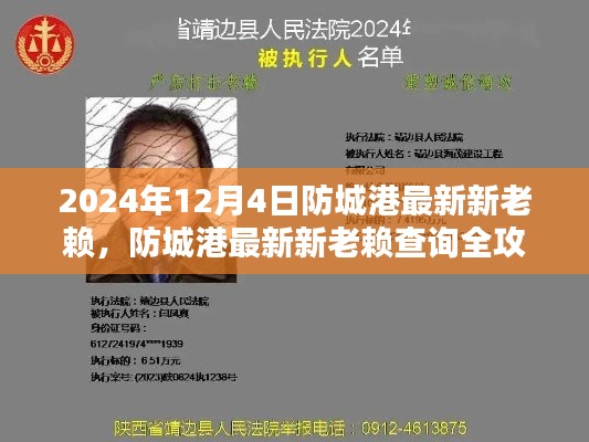 防城港最新新老賴(lài)查詢(xún)指南（2024年12月版），從初學(xué)者到進(jìn)階用戶(hù)全面攻略