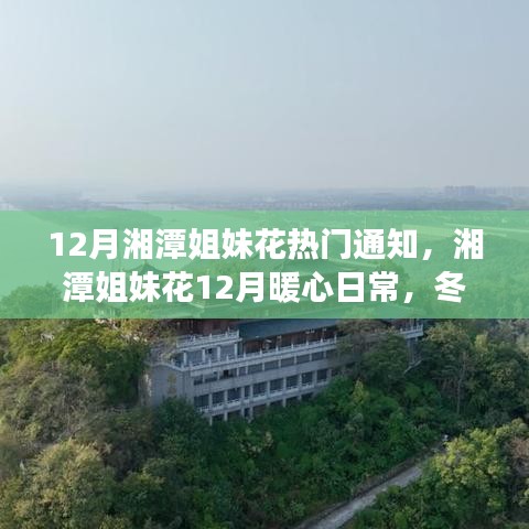 湘潭姐妹花暖心日常，十二月趣事與深厚友情的紐帶