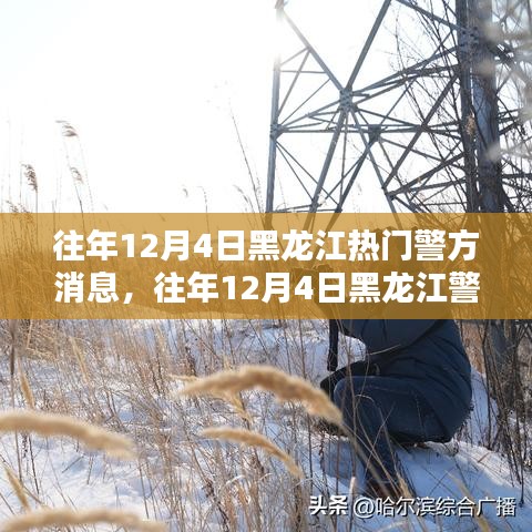 黑龍江警方警務(wù)動態(tài)熱點聚焦，警務(wù)影響分析與公眾關(guān)注焦點解讀