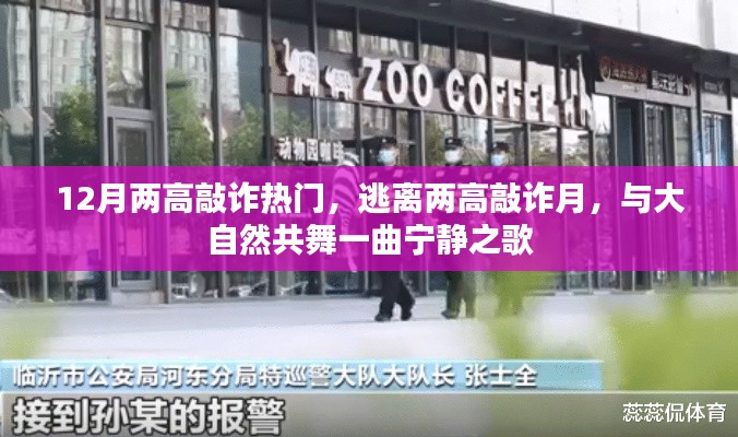 12月熱門敲詐事件，逃離高壓，與自然共舞寧靜之歌