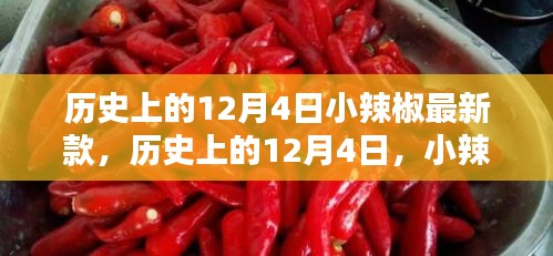 歷史上的小辣椒最新款誕生與影響，揭秘12月4日的獨(dú)特意義