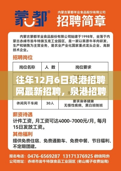 泉港招聘網(wǎng)獨(dú)家速遞，歷年12月6日最新招聘信息大盤點(diǎn)與往年招聘動(dòng)態(tài)回顧