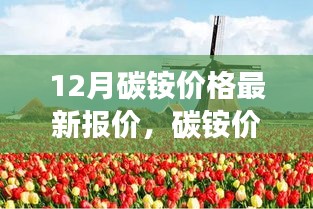 碳銨價(jià)格最新動(dòng)態(tài)，與自然美景相遇，探尋內(nèi)心寧?kù)o之旅