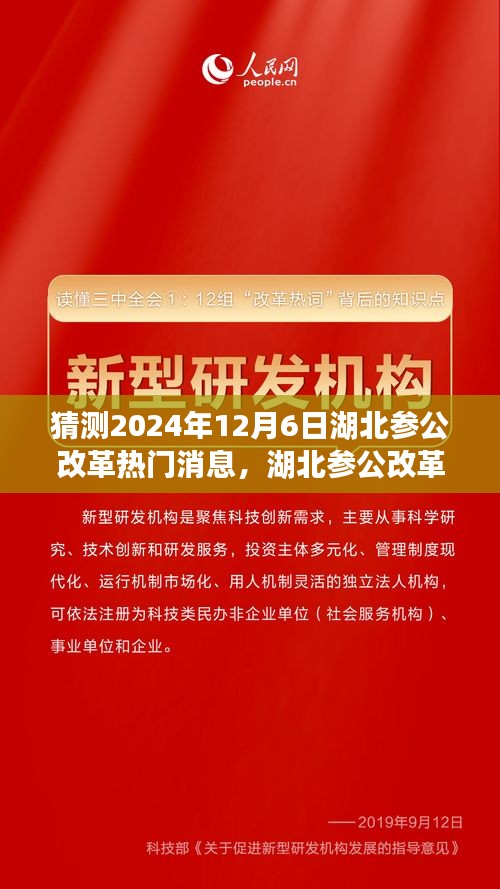 湖北參公改革展望，深度解析熱門消息，預(yù)測未來趨勢至2024年12月6日
