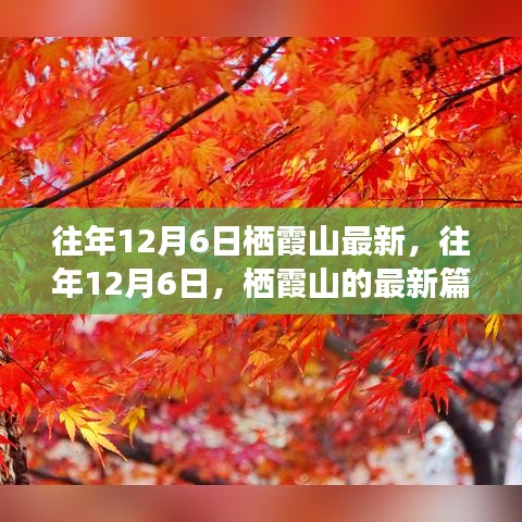 往年12月6日棲霞山深度解析，歷史、事件與地位的新篇章
