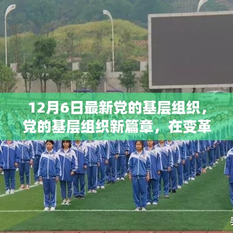 變革之光，黨的基層組織新篇章，12月6日最新發(fā)展