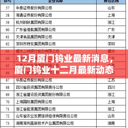廈門鎢業(yè)十二月最新動態(tài)概覽，最新消息概覽