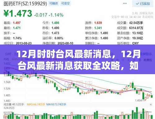 12月臺風最新消息全攻略，如何跟進動態(tài)，獲取實時信息