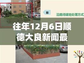順德大良歷年十二月六日新聞回顧與影響深度探析，最新消息一覽