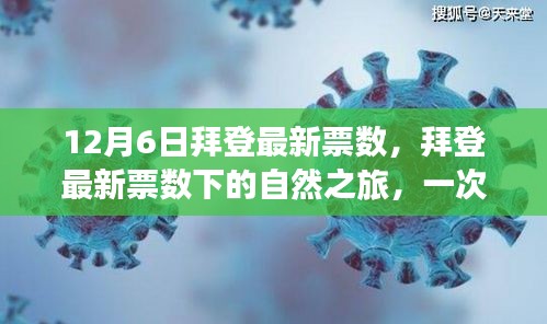 拜登最新票數(shù)背后的奇妙心靈之旅，尋找內(nèi)心平靜的探險(xiǎn)之旅