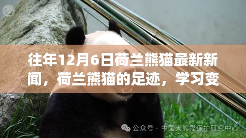 淺笑輕吟夢一曲 第5頁