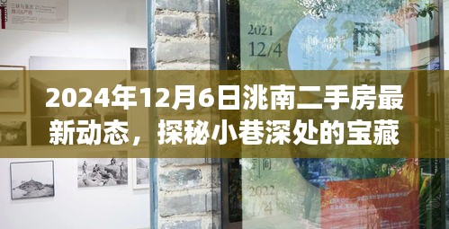 探秘洮南小巷寶藏，揭秘二手房市場(chǎng)最新動(dòng)態(tài)與獨(dú)特小店的奇遇記（最新資訊，2024年12月6日）