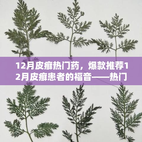12月皮癬熱門(mén)藥物大盤(pán)點(diǎn)，爆款推薦與患者的福音