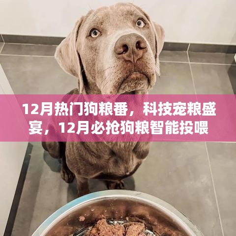 12月熱門狗糧番與智能投喂器新品亮相，科技寵糧盛宴開啟