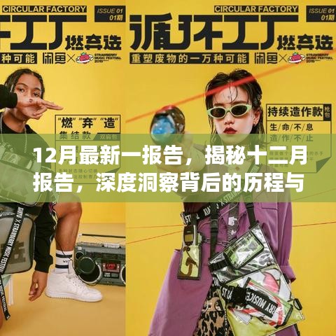 揭秘十二月報(bào)告，深度洞察背后的歷程與影響全揭秘