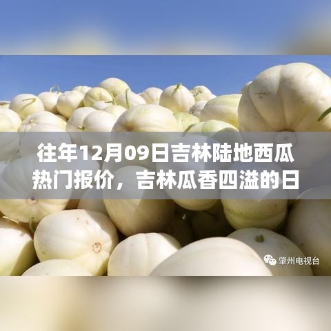 吉林瓜香四溢的日子，瓜農(nóng)的溫馨故事與陸地西瓜熱門報價回顧