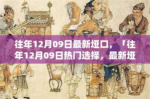 往年12月09日最新埡口產(chǎn)品評測與介紹，熱門選擇詳解