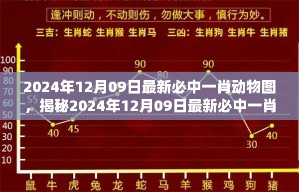 揭秘彩票背后的秘密策略，揭秘必中一肖動物圖的犯罪真相