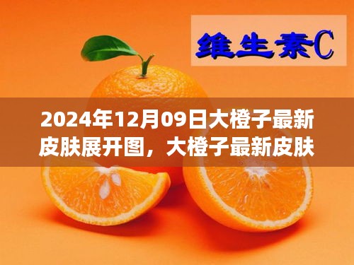 大橙子最新皮膚展開(kāi)圖評(píng)測(cè)與介紹，2024年12月09日獨(dú)家報(bào)道