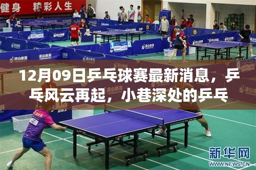 乒乓風云再起，小巷深處的乒乓盛宴與特色小店揭秘