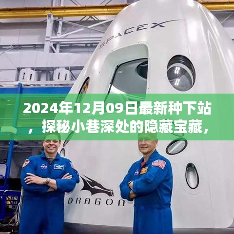 探秘最新種下站，小巷深處的隱藏寶藏與特色小店推薦（2024年12月09日）