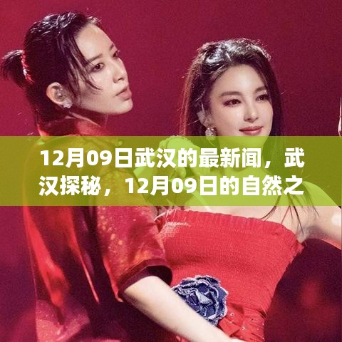 武漢探秘，尋找內(nèi)心的寧?kù)o與平和——武漢最新新聞與自然之旅