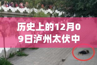 瀘州太伏中學(xué)，追尋內(nèi)心平靜的旅程啟程于十二月九日，自然美景啟示心靈之旅