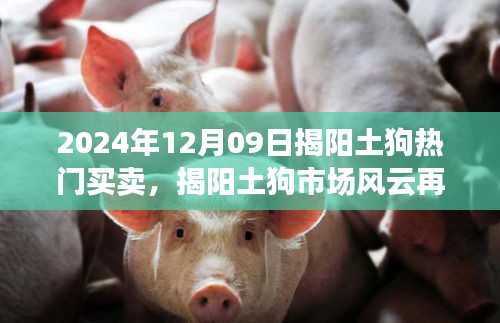 揭陽土狗市場風云再起，2024年12月09日熱門買賣回顧