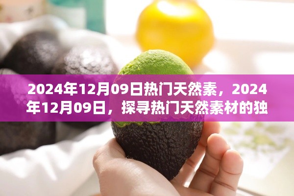 探尋熱門天然素材的獨特魅力，2024年12月9日天然素材流行趨勢解析