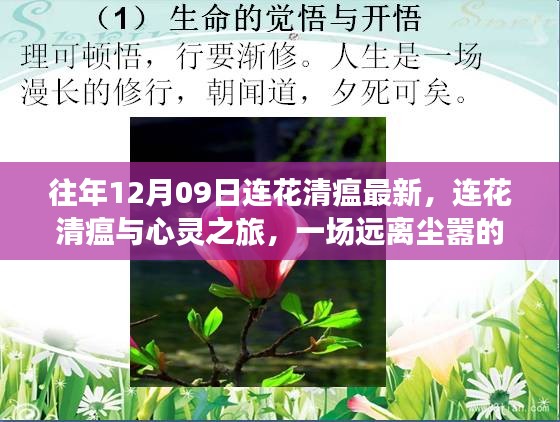 連花清瘟與心靈之旅，遠(yuǎn)離塵囂的奇妙探險(xiǎn)之旅