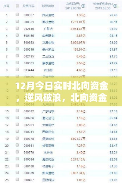 北向資金啟示下的成長(zhǎng)奇跡，12月實(shí)時(shí)洞察，自信成就夢(mèng)想之旅